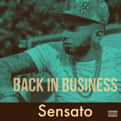 Back In Business 专辑 Sensato