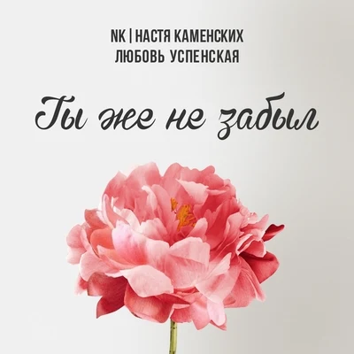 Ты же не забыл 專輯 NK