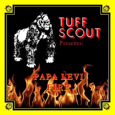 Fire 專輯 Lee Mortimer/Papa Levi