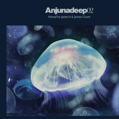 Sergey Tkachev Anjunadeep 02: Mixed By Jaytech & James Grant