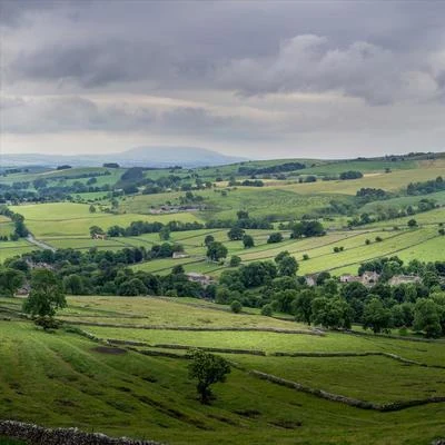 Fields and Sunny Skies 專輯 Paul Harris