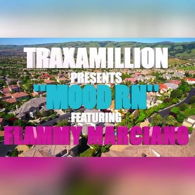 Mood RN (feat. Flammy Marciano) - Single 專輯 Traxamillion