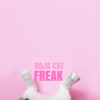 FREAK 專輯 Doja Cat/Tyga