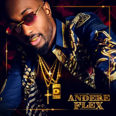 Andere Flex 專輯 Dopebwoy