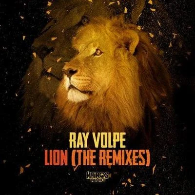 Ray Volpe LION (THE REMIXES)