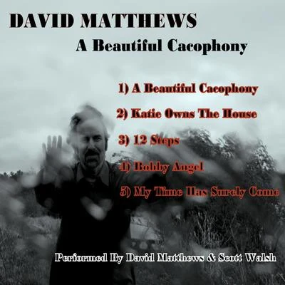 A Beautiful Cacophony 专辑 David Matthews