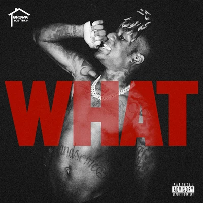 What! 專輯 GrownBoiTrap/WW NATE