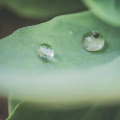 Melodías De La Naturaleza Otoñol | Sonidos Tranquilos | Meditación Música Relajante 專輯 Musica Relajante Piano Master/Canciones De Cuna Para Dormir Bebes/Maestros de música de la meditación