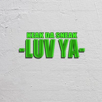 Luv Ya 專輯 Keak da Sneak/Josehasagun/FinesseGang L/Dela The Fella