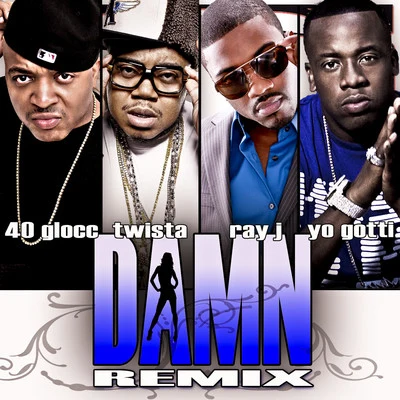 Damn (Remix) [feat. Ray J, Twista and Gotti] - Single 專輯 Zoo Babiez/40 Glocc