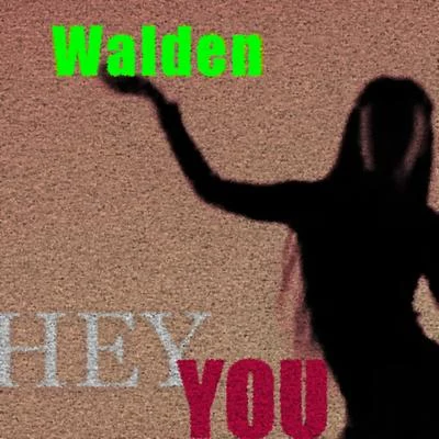 Hey You 专辑 Walden/Pete K