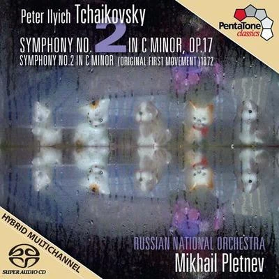 TCHAIKOVSKY, P.I.: Symphony No. 2 (Russian National Orchestra, Pletnev) 專輯 Mikhail Pletnev/Jean-yves Thibaudet/Daniil Trifonov/Rotterdam Philharmonic Orchestra/Nelson Freire