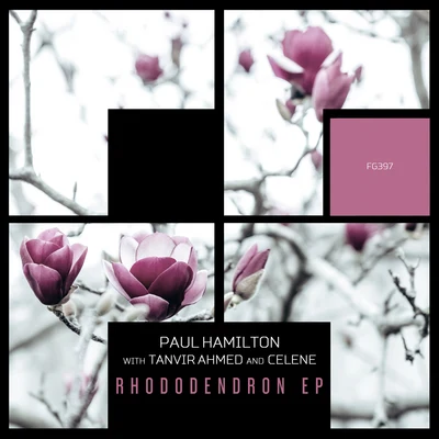 Rhododendron EP 專輯 Paul Hamilton/Orelse/Don Vitalo/Intelligent Technology/Houseamigo DJs