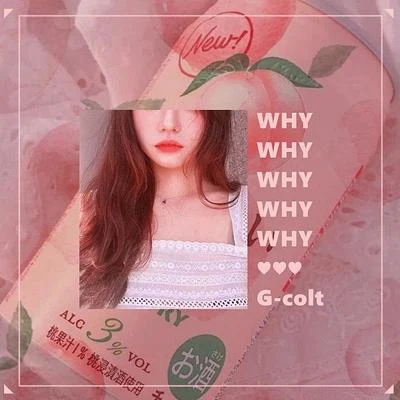 WHY 专辑 gcolt/Ju