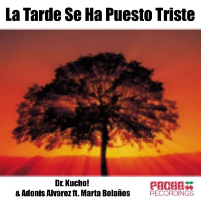 Dr. Kucho! La Tarde Se Ha Puesto Triste