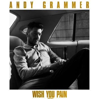 Wish You Pain (Radio Edit) 專輯 Andy Grammer/Ryan Riback