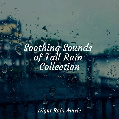 Soothing Sounds of Fall Rain Collection 專輯 Bedtime Baby