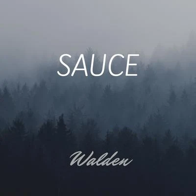 Sauce 专辑 Walden/Pete K