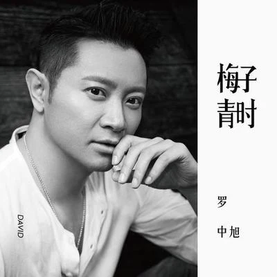 梅子青時 專輯 羅中旭/陶喆 (David Tao)/單依純/胡彥斌 (Anson Hu)/張韶涵 (Angela Chang)