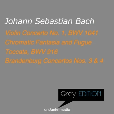 Grey Edition - Bach: Violin Concerto No. 1, BWV 1041 & Toccata, BWV 916 專輯 Christiane Jaccottet/Maria Pivka/Sylvia Cápová