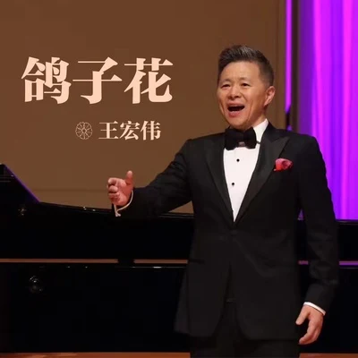 鴿子花 專輯 王宏偉