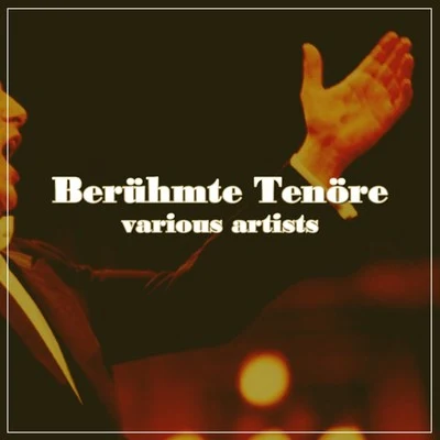 Beruhmte Tenore 专辑 Radio symphony orchestra