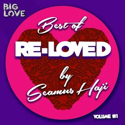 Best Of Re-Loved, Vol. 1 專輯 Seamus Haji