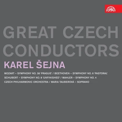 Karel Šejna. Great Czech Conductors 專輯 Jan Hölzel/Czech Philharmonic/Prague Chamber Soloists/Alfred Holecek/Josef Vlach