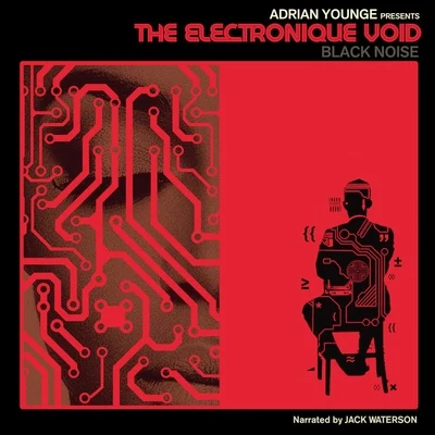 The Electronique Void 專輯 Boardwalk/shigeto/Adrian Younge/Peshay/Ambassadeurs