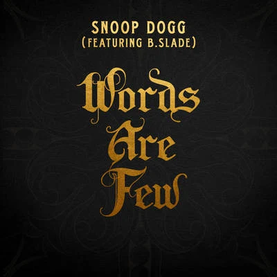 Words Are Few 專輯 Recloose/B. Slade