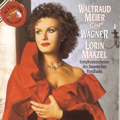 Waltraud Meier Sings Wagner 专辑 Waltraud Meier