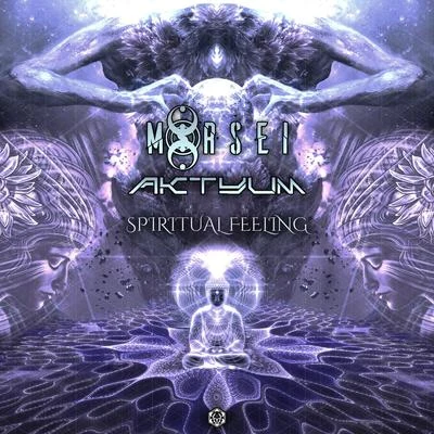 Spiritual Feeling 專輯 Aktyum/Drukverdeler/Dj Bim/Heisenberg/Solid Iron