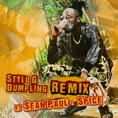 Dumpling (Remix) 专辑 ZJ Liquid/Stylo G/Gold Up/Badda General/Shatta Wale