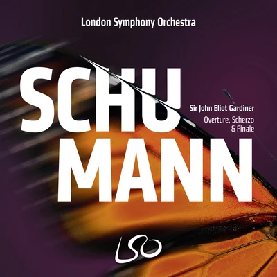 Schumann: Overture, Scherzo and Finale 專輯 Hillevi Martinpelto/John Eliot Gardiner/Orchestre Révolutionnaire et Romantique