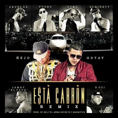 Esta Cabron (Remix) [feat. Anuel Aa, Yomo, Pusho, Almighty, D.Ozi & Jamby "El Favo"] 专辑 Gotay