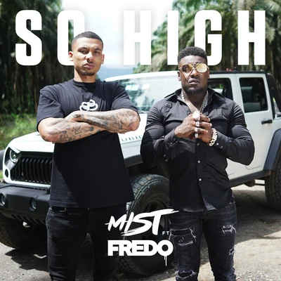 So High (feat. Fredo) 專輯 Mist