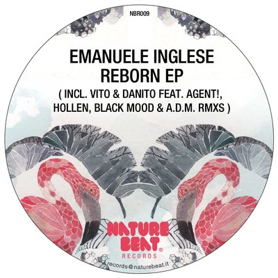 Reborn 專輯 Emanuele Inglese