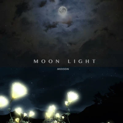 Moon Light月光 專輯 RIVA/Moison