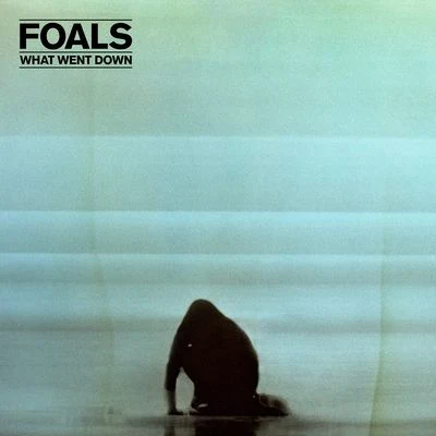 Albatross (Lake Turner Remix) 專輯 Foals