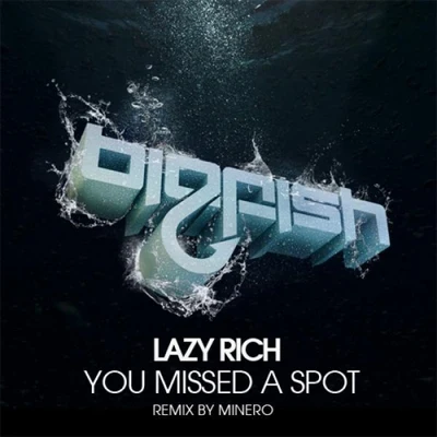 You Missed A Spot 專輯 Lazy Rich