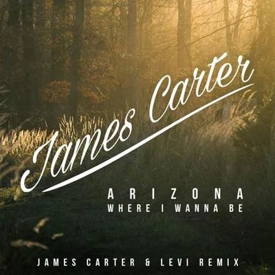 Where I Wanna Be 专辑 James Carter/Klei