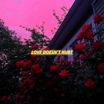 Love Doesn&#x27;t Hurt 专辑 LRN Slime