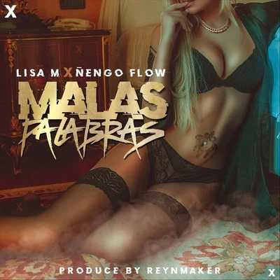 Malas Palabras (feat. Ñengo Flow) 專輯 Ñengo Flow