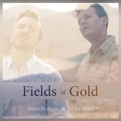 Fields of Gold 專輯 Peter Hollens