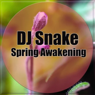 Spring Awakening 專輯 DJ Snake/Kayzo/Lauv