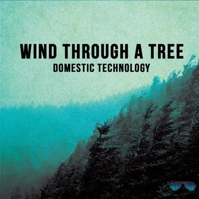 Wind Through a Tree 专辑 Domestic Technology