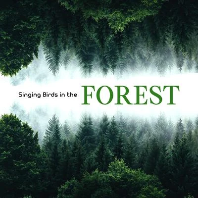 Singing Birds in the Forest: 15 Best Relaxing Songs, Calming Music for Hard Day, Nature Sounds with Piano Melodies, Relax Your Mind 专辑 Irish Celtic Music/The Calming Sounds of Nature