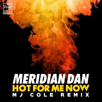 Hot For Me Now (MJ Cole Remix) 專輯 Meridian Dan