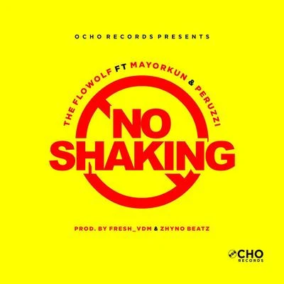 No Shaking 專輯 Fireboy DML/Peruzzi