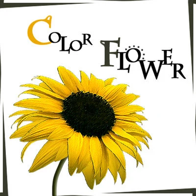 Color Flower 专辑 KCM